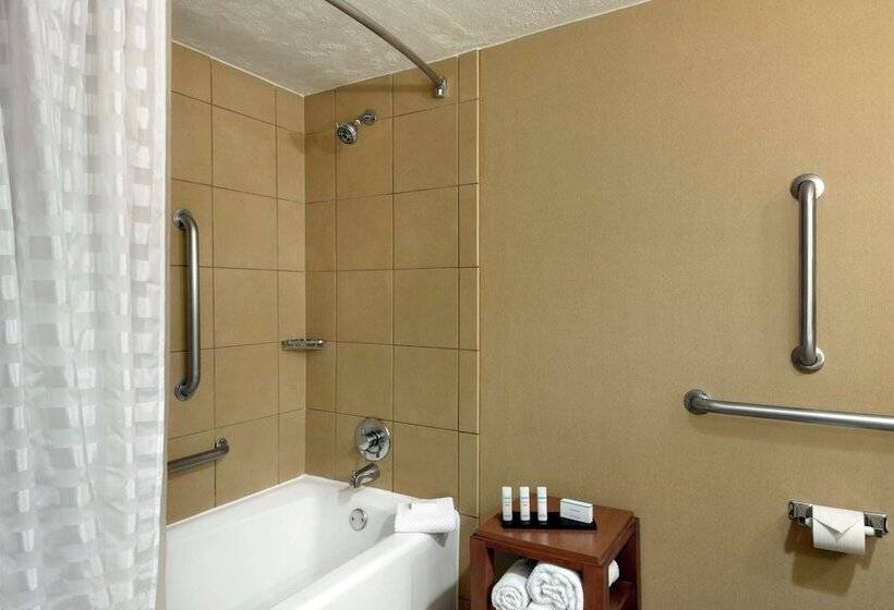 סוויטה מותאמת לאדם עם מוגבלויות, Embassy Suites By Hilton Kansas City International Airport