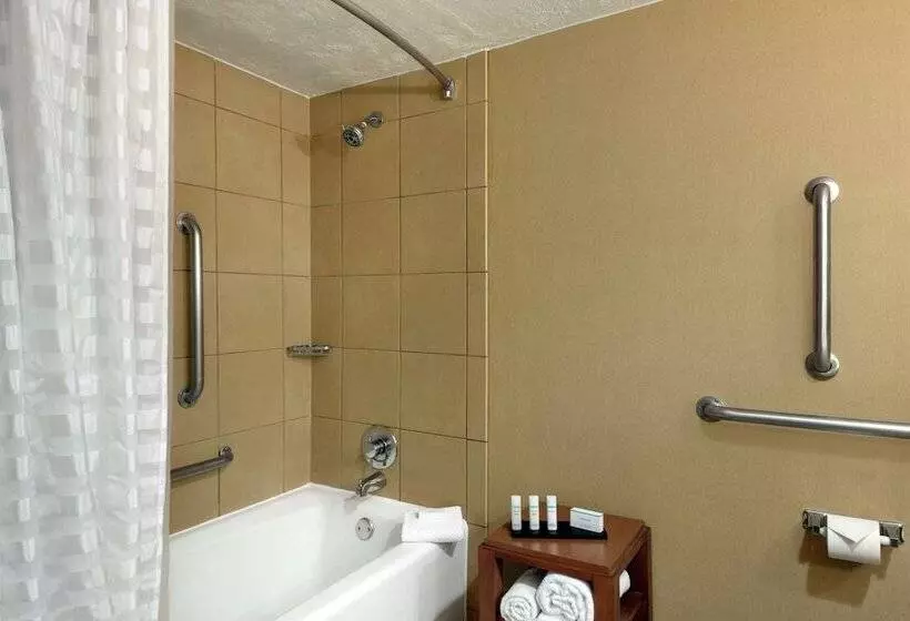 身障者適用スイートルーム, Embassy Suites By Hilton Kansas City International Airport