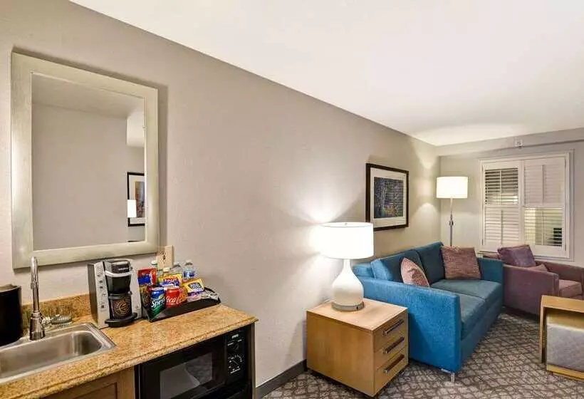 プレミアムルーム, Embassy Suites By Hilton Lexington/uk Coldstream