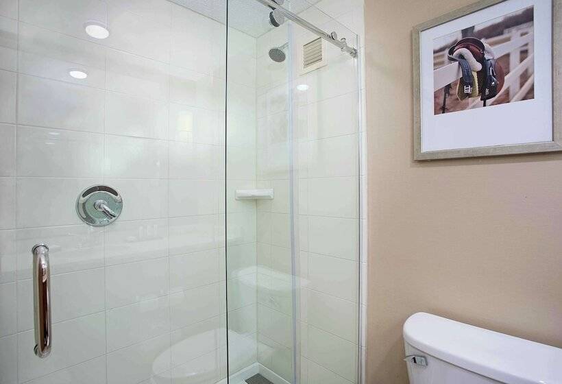 スイート, Embassy Suites By Hilton Lexington/uk Coldstream