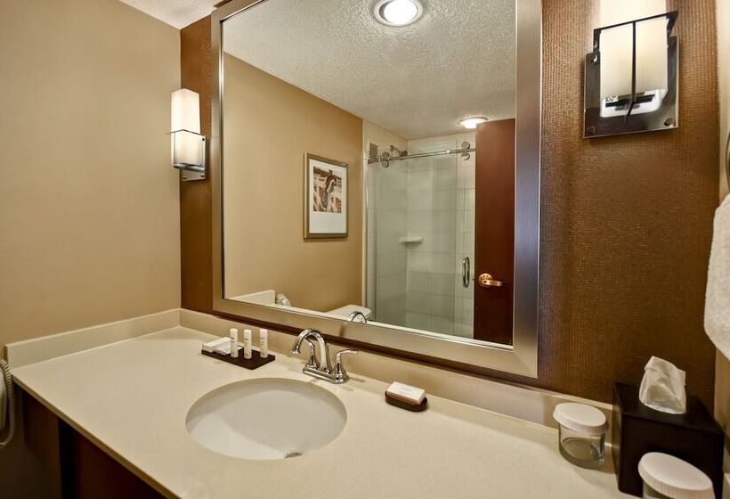 スイート, Embassy Suites By Hilton Lexington/uk Coldstream