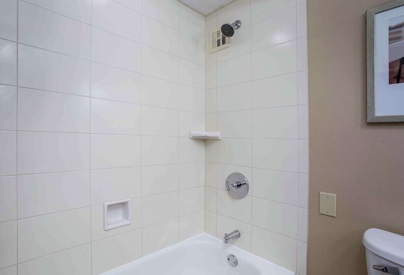 スイート, Embassy Suites By Hilton Lexington/uk Coldstream