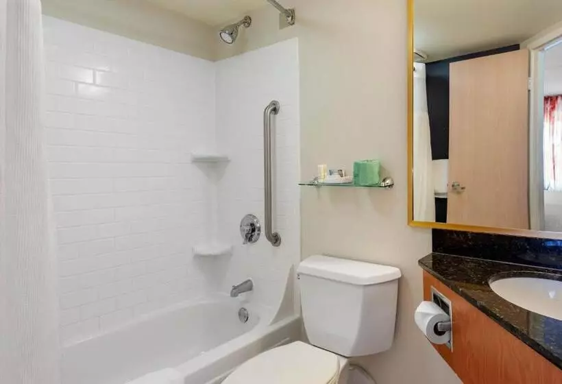 اتاق استاندارد با تخت بزرگ, Fairfield By Marriott Inn & Suites Portland Maine Airport