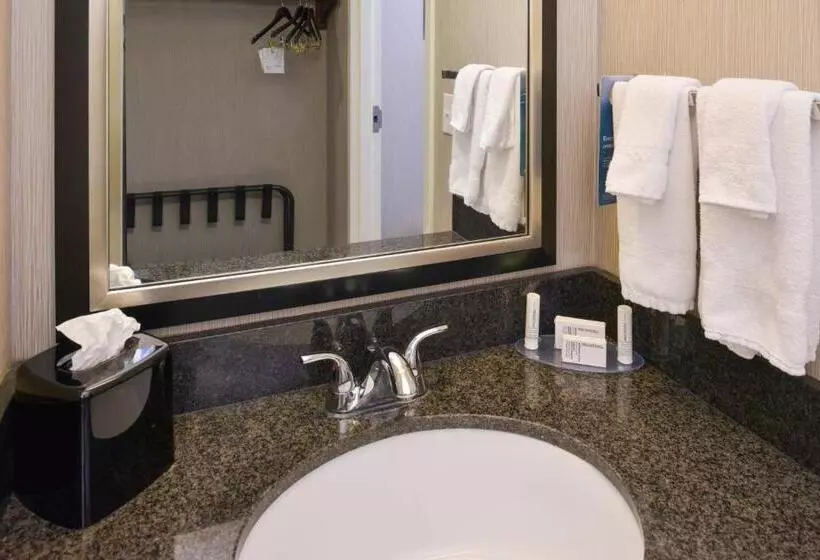 キングサイズベッドのスタンダードルーム, Fairfield Inn Salt Lake City Layton
