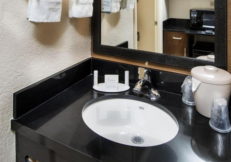 带大床的标准间, Fairfield Inn & Suites By Marriott Atlanta Buckhead