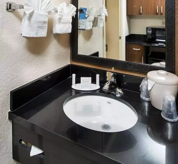 ２ダブルベッドのスタンダードルーム, Fairfield Inn & Suites By Marriott Atlanta Buckhead