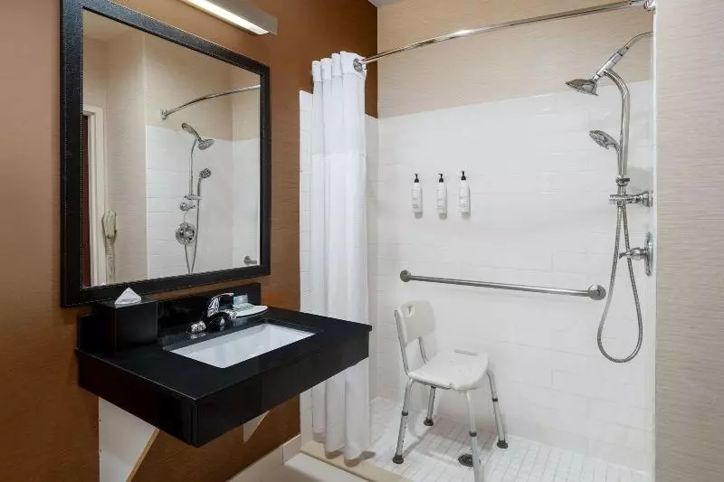 キングサイズベッドのスタンダードルーム, Fairfield Inn & Suites By Marriott Denver Aurora/medical Center