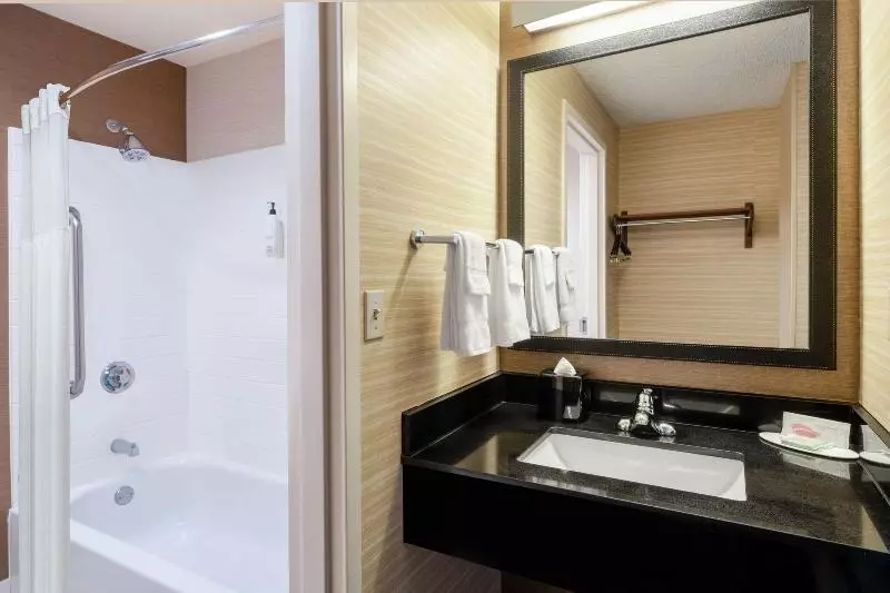 キングサイズベッドのスタンダードルーム, Fairfield Inn & Suites By Marriott Denver Aurora/medical Center
