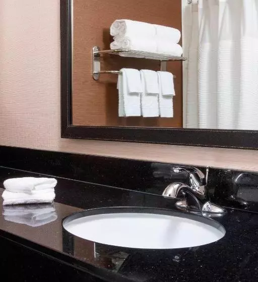 Standard-huone King-vuode, Fairfield Inn & Suites Chicago Tinley Park