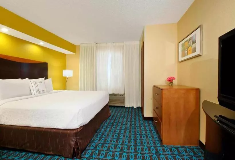 اتاق استاندارد با تخت بزرگ, Fairfield Inn & Suites Colorado Springs South