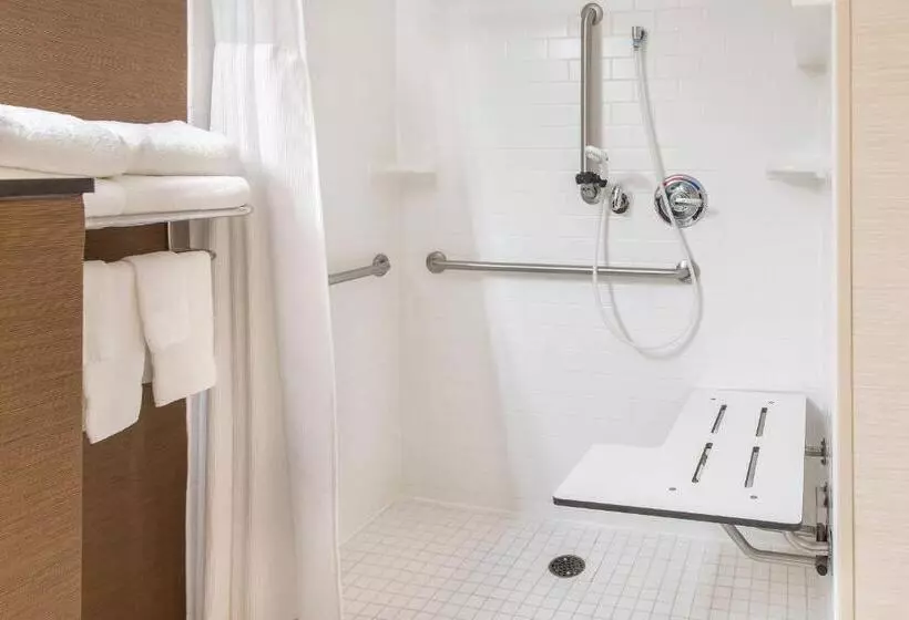 اتاق استاندارد با تخت بزرگ, Fairfield Inn & Suites Sioux Falls