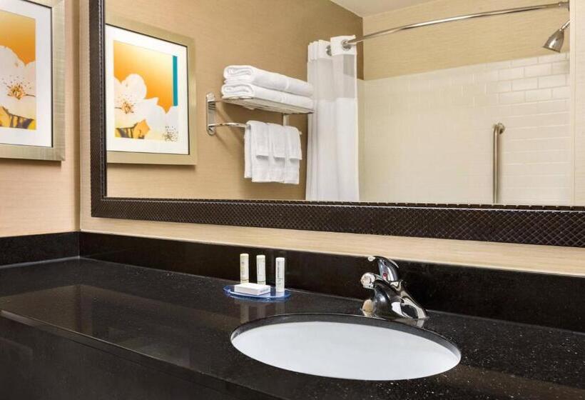 استودیو استاندارد با تخت کینگ, Fairfield Inn & Suites By Marriott Toledo Maumee