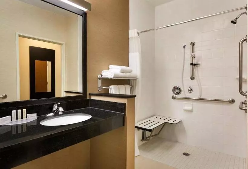 身障者適用キングサイズベッドルーム, Fairfield Inn & Suites By Marriott Toledo Maumee