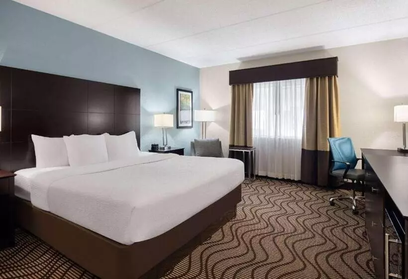 キングサイズベッドのスタンダードルーム, La Quinta By Wyndham Knoxville Airport