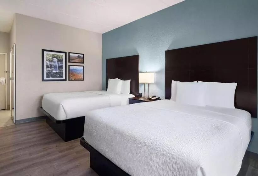 スタンダードルーム, La Quinta By Wyndham Knoxville Airport