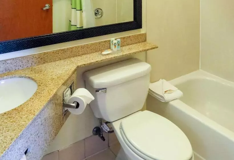 身障者適用キングサイズベッドルーム, Quality Inn Cranberry Township