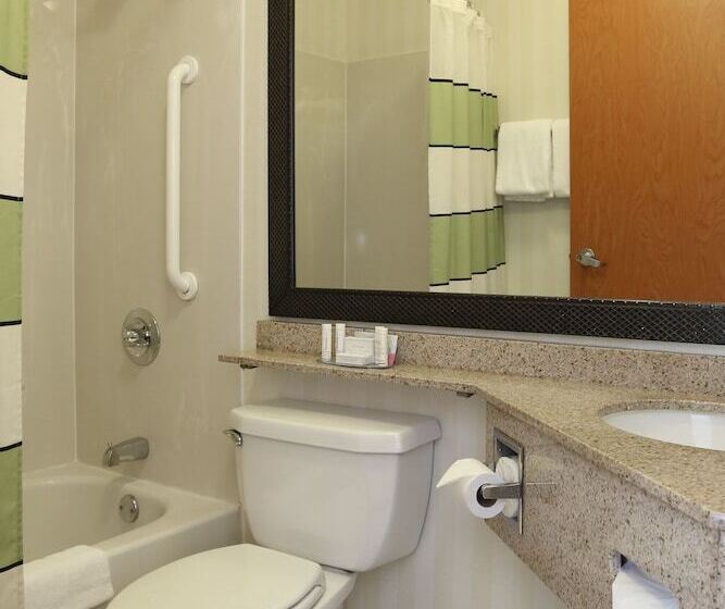 带2个双人床的标准工作室, Quality Inn Cranberry Township