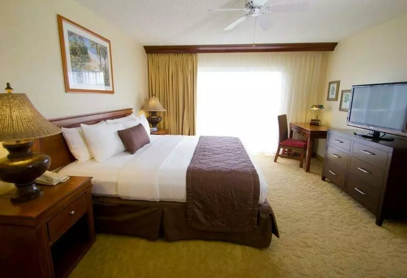オーシャンビューの１ベッドルームビラ, Ka Anapali Beach Club