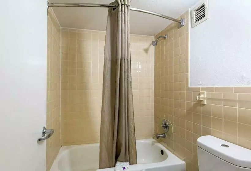 キングサイズベッドのデラックスルーム, Motel 6 Houston, Tx  East