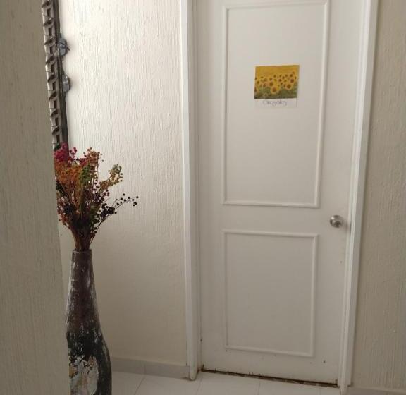 共用房间的床, Casa Bugambilias Cancun   Hostel