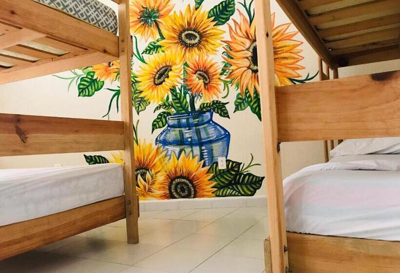 共用房间的床, Casa Bugambilias Cancun   Hostel