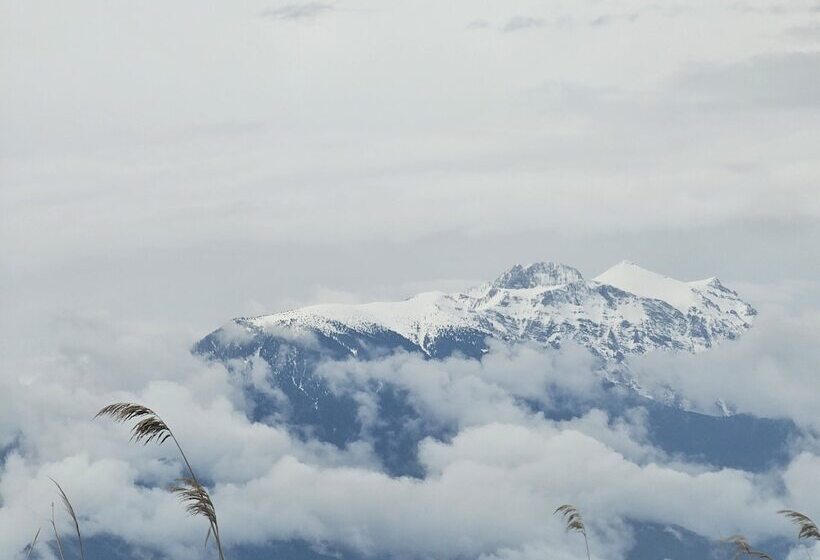 חדר דלוקס לשלושה, Peloton Inn