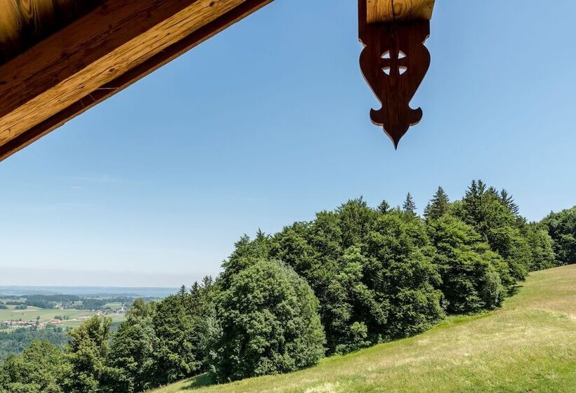 带1个卧室的豪华公寓, Chiemsee Chalet