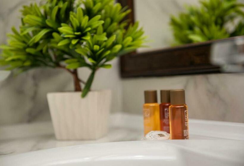 オーシャンビューデラックスルームバルコニー付き, Oasis Del Sol