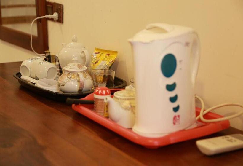 Deluxe Room, New Planet Guest