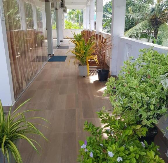 Family Room, New Planet Guest