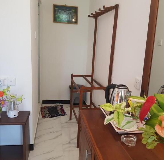 Family Room, New Planet Guest