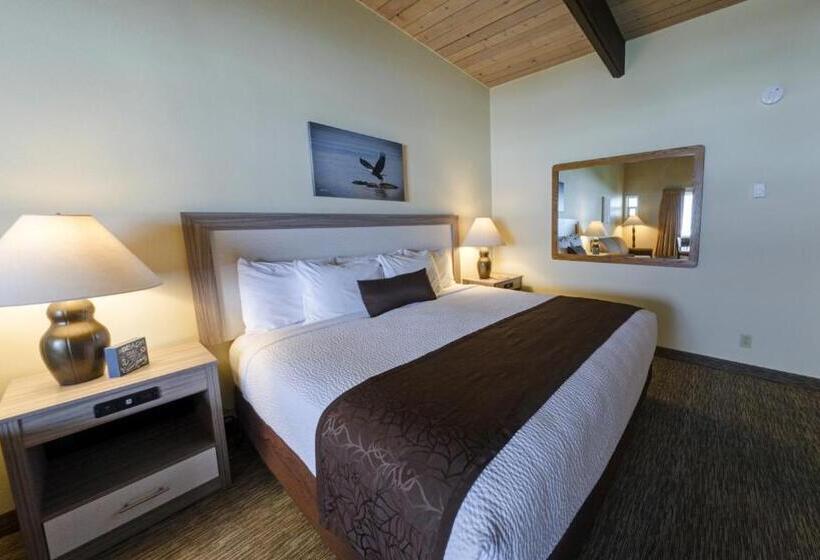 带大床的高级房间, Fireside Motel