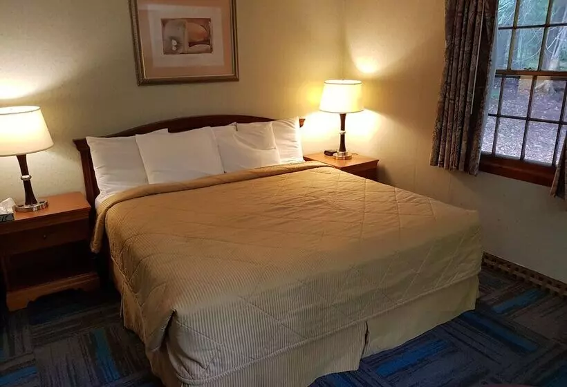 Basic-huone, Franconia Notch Motel