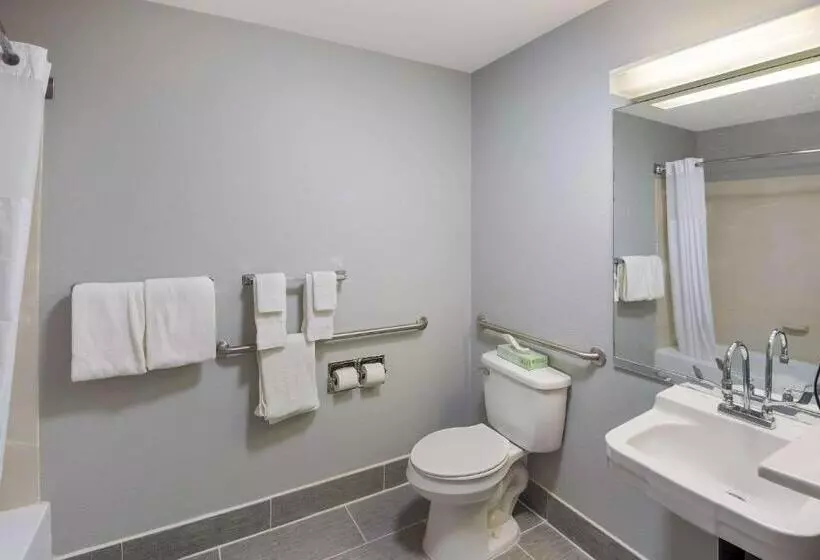 اتاق استاندارد با تخت بزرگ برای معلولان, Clarion Pointe Indianapolis Northeast