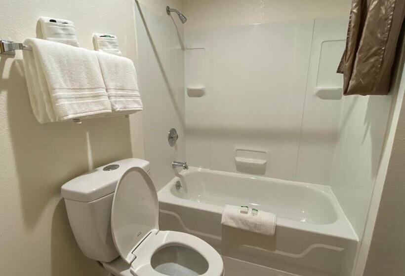 غرفة قياسية, Eagle