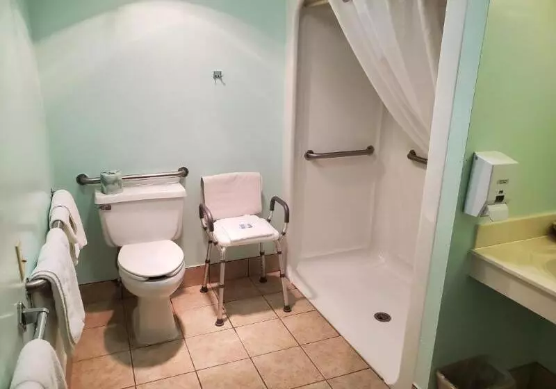اتاق استاندارد با تخت بزرگ برای معلولان, Governors Inn A Travelodge By Wyndham