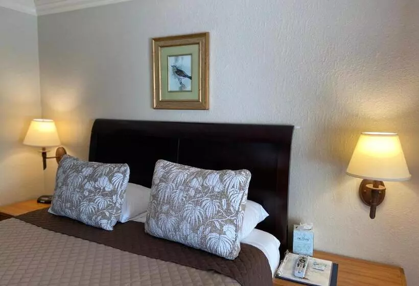 اتاق لوکس, Los Gatos Garden Inn