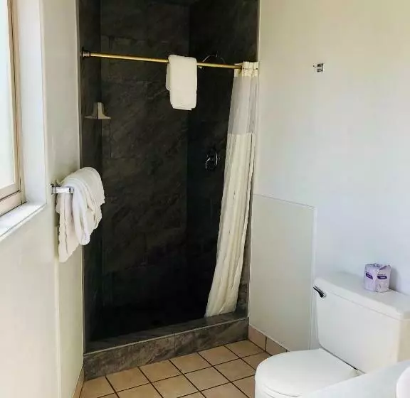 اتاق لوکس با تخت بزرگ, Motel Garberville