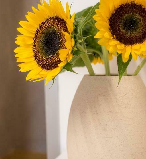 חדר סופריור, Aelios Design