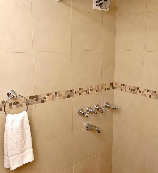 اتاق استاندارد, Intersur San Telmo