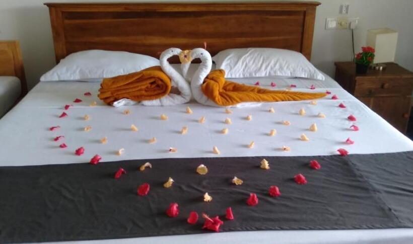 Номер Стандарт, Sapid Luck Yala Safari