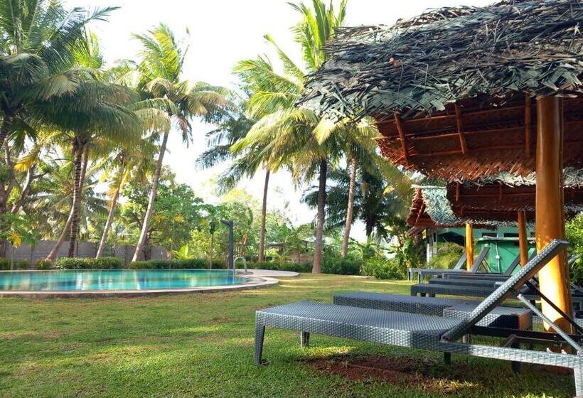 스탠다드 룸 풀장 전망, The Nature Park Villa