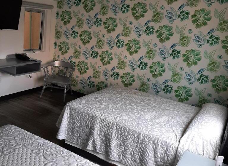 스탠다드 룸, Grand Hotel Kyrios Veracruz