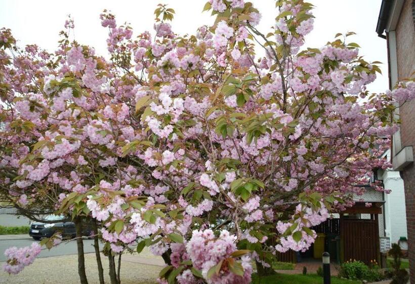 스탠다드 룸, Sudstrand Amrum