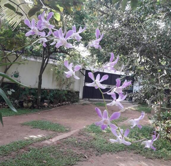 带阳台的豪华间, B & B Charm