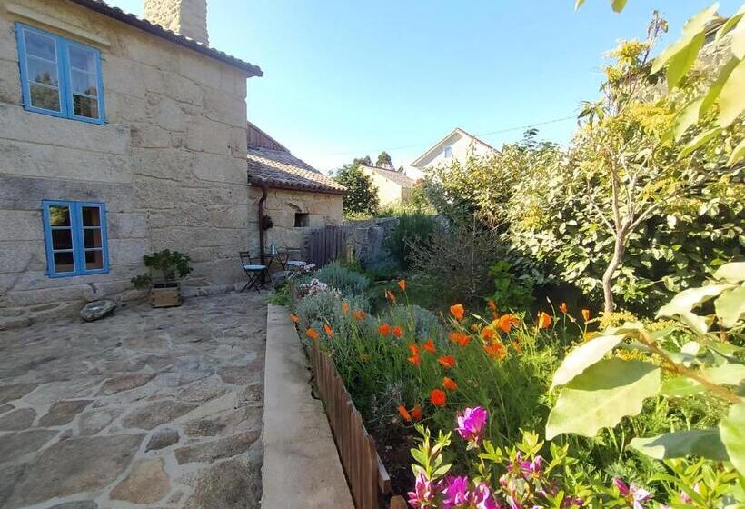 استودیوی استاندارد, Olardomar