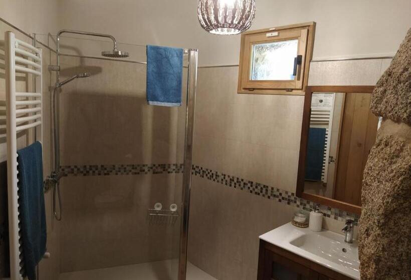 استودیوی استاندارد, Olardomar