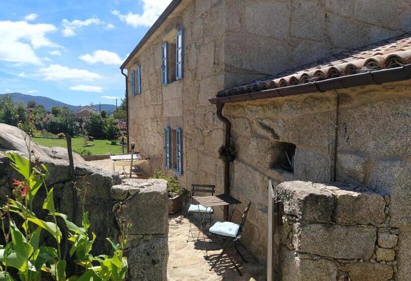 استودیوی استاندارد, Olardomar