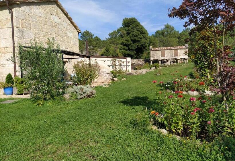 استودیوی استاندارد, Olardomar