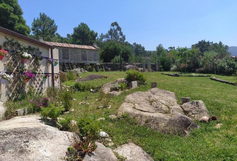 استودیوی استاندارد, Olardomar